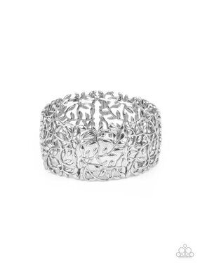 Paparazzi Bracelet (BE031)